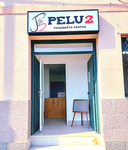 Peluquería Canina Pelu2 en Pontevedra