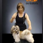 Peluquería Canina Pelukan – Peluquería Canina en Quart De Poblet