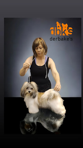 Peluquería Canina Pelukan en Valencia