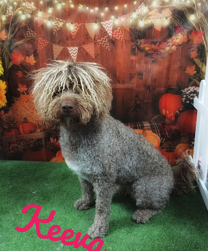 Peluqueria Canina Pequeña Lula en Madrid