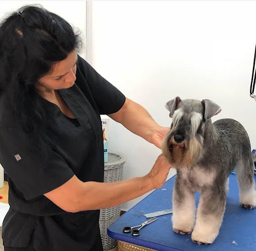 Peluquería Canina Perríssimos en Sevilla
