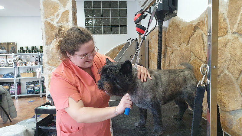Peluquería Canina Pitusines en Alicante
