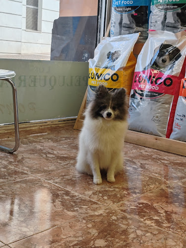 Peluquería Canina Ponme Guapo Tarazona en Zaragoza