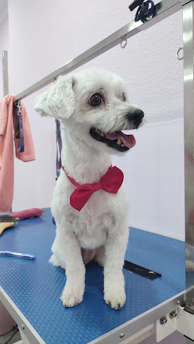 Peluquería Canina Puppy Love en Huelva