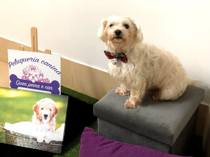 Peluquería Canina Quen Peina O Can en A Coruña