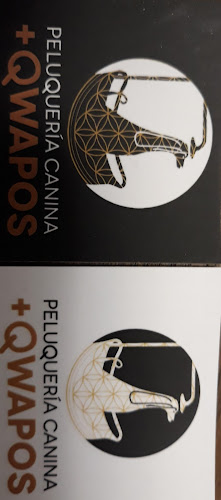 Peluqueria Canina + Qwapos en Gipuzkoa