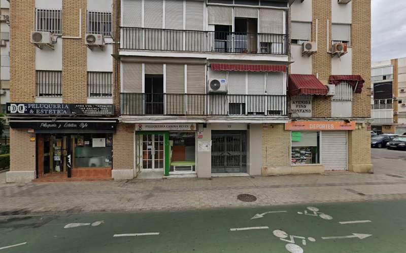 Peluquería Canina Reyes Ii Avenida Pino Montano 29 en Sevilla