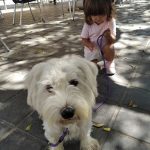 Peluquería Canina Rubén – Peluquería Canina en Quart De Poblet