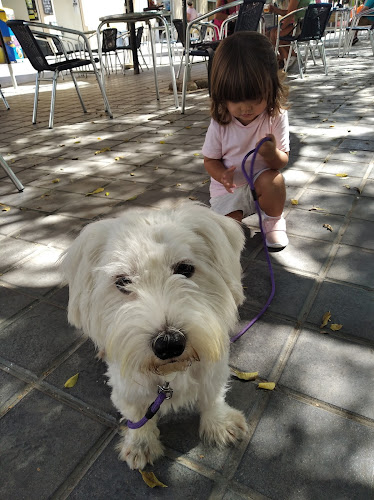 Peluquería Canina Rubén en Valencia