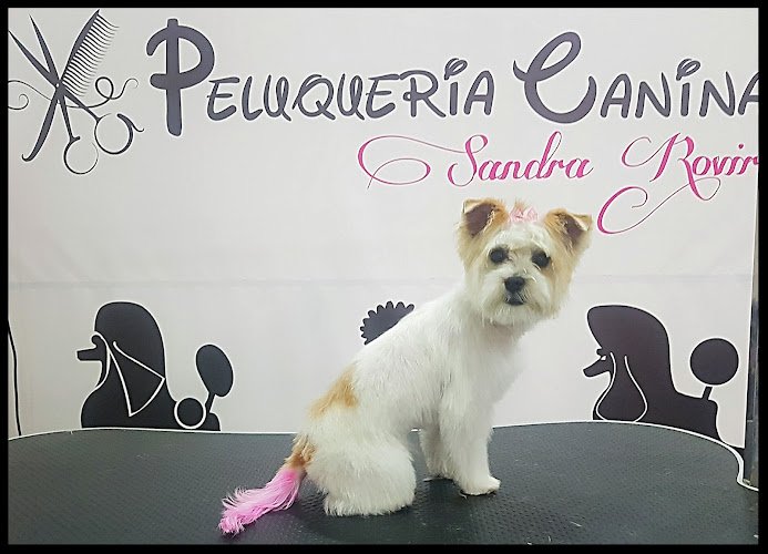 Peluquería Canina Sandra Rovira en Madrid