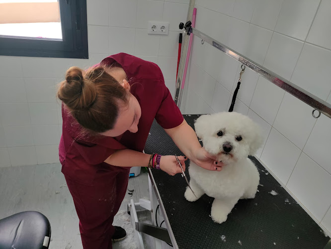 Peluquería Canina Santa Cruz Veterinarios en Ciudad Real