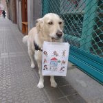 Peluquería Canina Susana – Peluquería Canina en Barakaldo