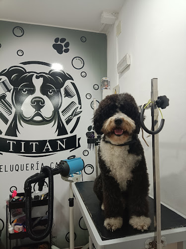 Peluquería Canina Titán en Málaga
