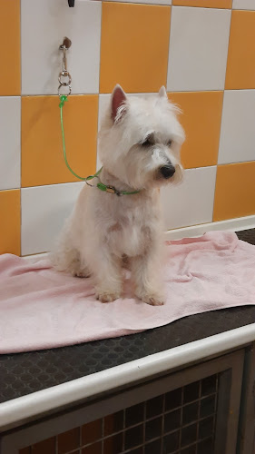 Peluquería Canina Tonacan en Navarra