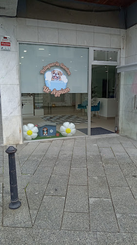 Peluquería Canina Urazpian en Gipuzkoa