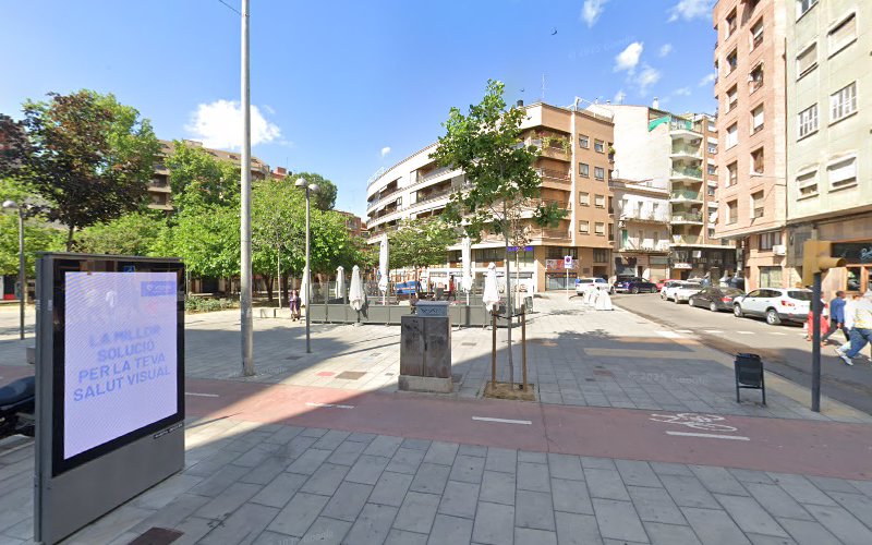 Peluqueria Canina Vidaperra en Lérida