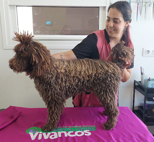Peluquería Canina Vivancos - Professional Pet Grooming Services & Food Store en Almería