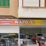 Peluqueria Canina Wapos – Peluquería Canina en Palma