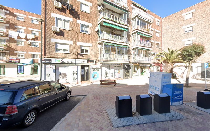 Peluquería Canina Y Felina en Madrid