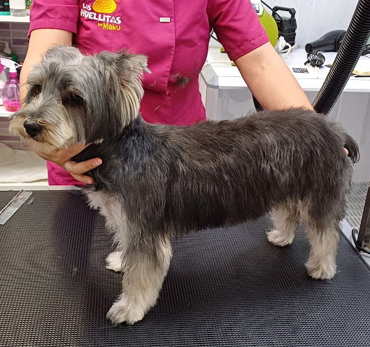 Peluquería Canina Y Felina Las Huellitas By Maku en Las Palmas