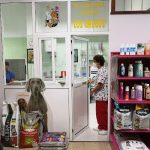 Peluquería Canina Y Felina Los Galgos – Peluquería Canina en Las Palmas De Gran Canaria