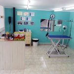 Peluquería Canina Y Felina Michican – Peluquería Canina en Gijón