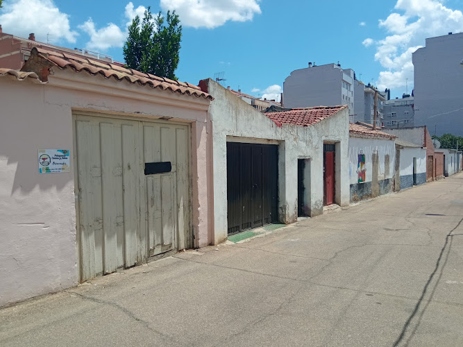 Peluquería Canina Y Felina Omd en Palencia