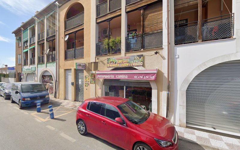 Peluqueria Canina Y Felina en Granada
