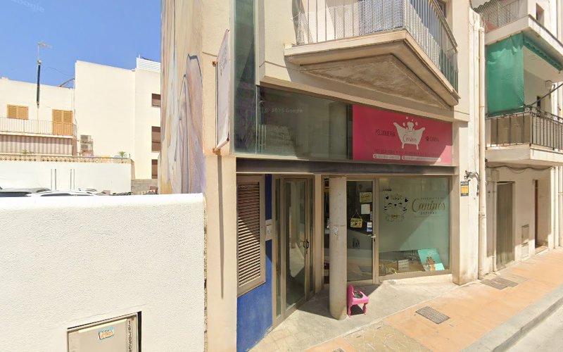 Peluqueria Canina Y Guarderia De Gatos Peludos en Balearic Islands