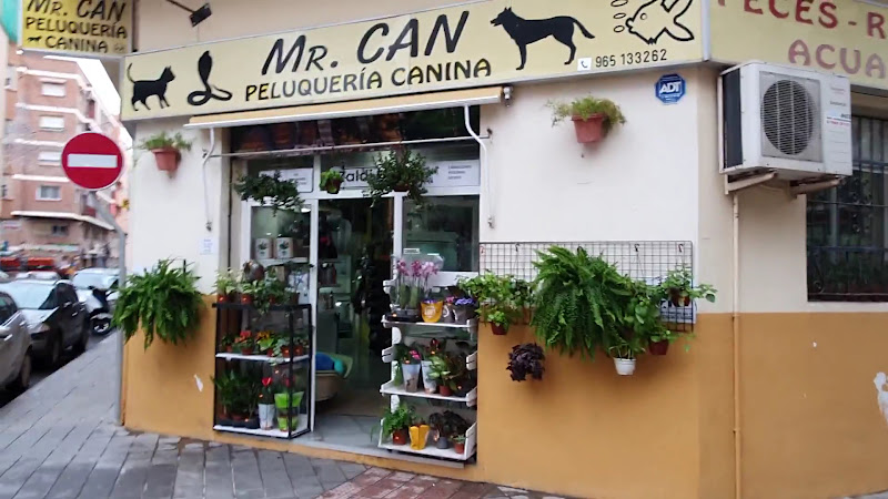 Peluqueria Canina Y Pajareria Mr.can en Alicante
