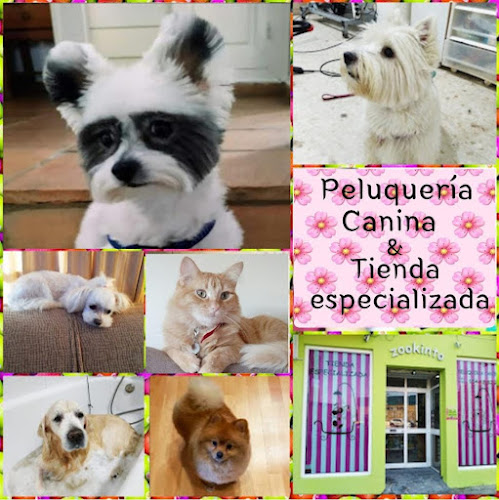 Peluquería Canina Zookinto en Sevilla