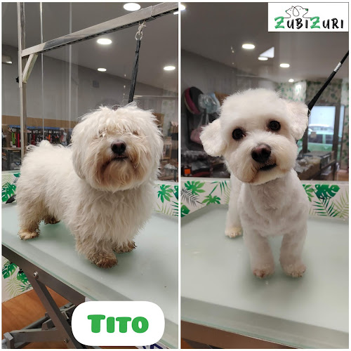 Peluquería Canina Zubizuri en Biscay
