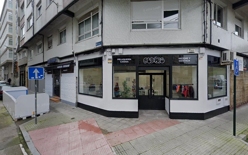 Peluquería Canina en La Coruña