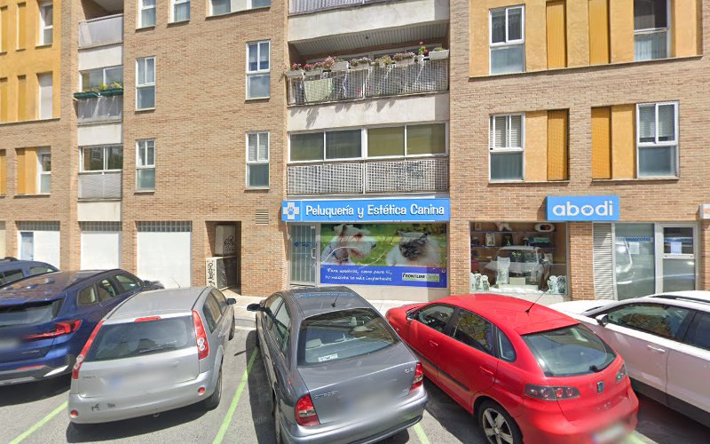 Peluquería Estética Canina en Navarra