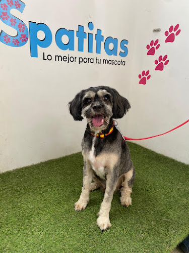 Peluquería Spatitas en Las Palmas