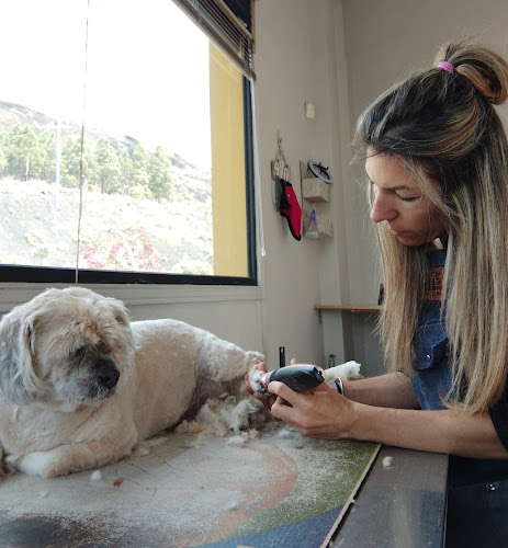 Peluquería Wellmann en Santa Cruz De Tenerife