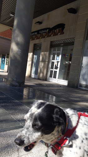 Peluquería Y Adiestramiento Canino en Álava
