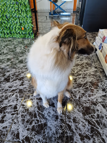 Peluqueria Y Dietetica Essential Pets en Santa Cruz De Tenerife