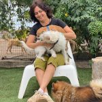 Peluquería Y Guardería Canina Talento – Peluquería Canina en Telde