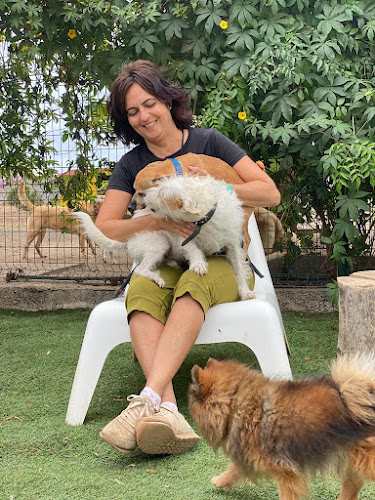 Peluquería Y Guardería Canina Talento en Las Palmas