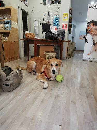 Perrobueno Pet Shop - Alimentación Natural - Peluqueria Canina Y Felina en Madrid