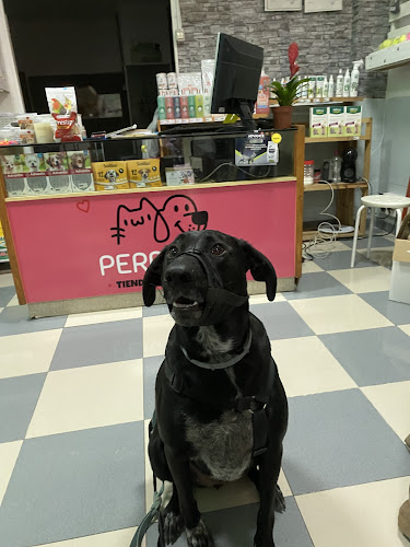 Perrone Tienda De Mascotas Autolavado en Alicante