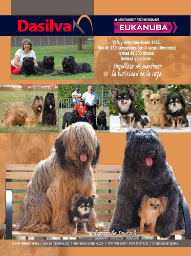 Perros Dasilva en Alicante