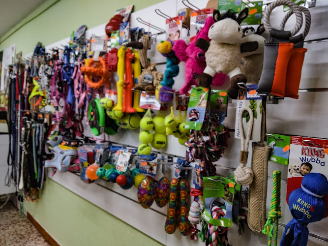 Perrudog en Barcelona