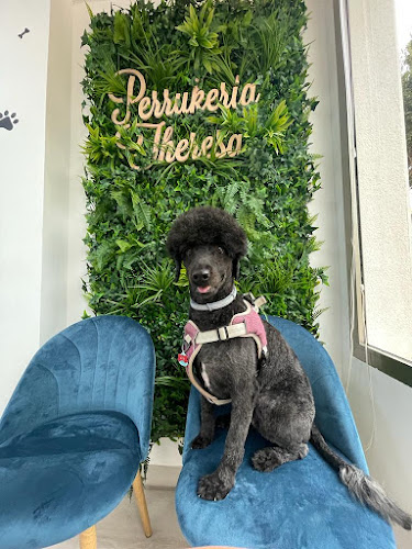 Perrukeria Theresa en Almería