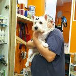 Perrukys – Peluquería Canina en Palma