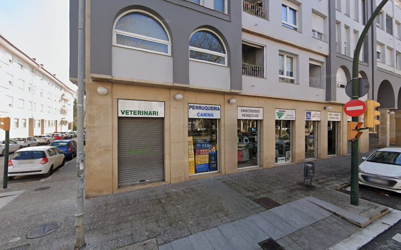 Perruqueria Canina en Girona