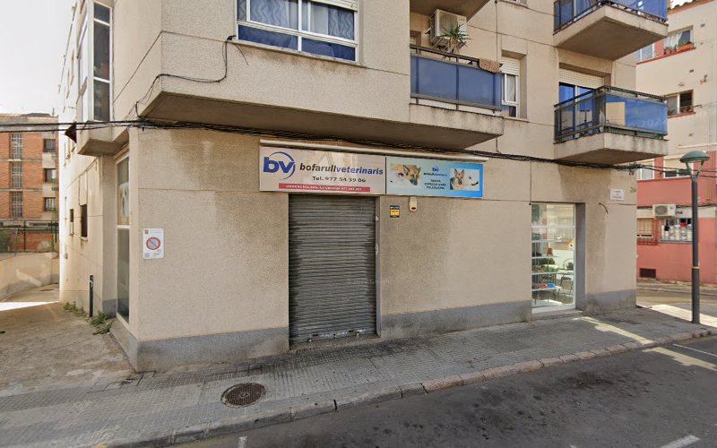 Perruqueria Canina en Tarragona