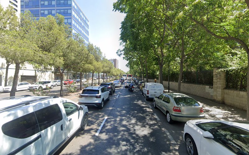 Perruqueria Canina en Zaragoza