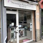Perruqueria Canina Carme – Peluquería Canina en Badalona